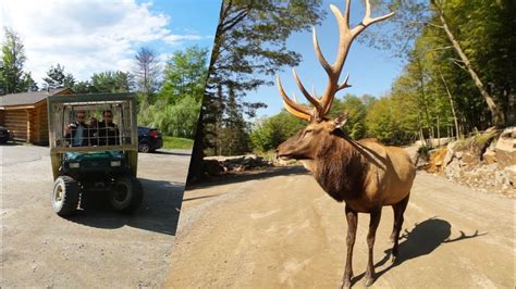 parc omega canada prix|parc omega images.